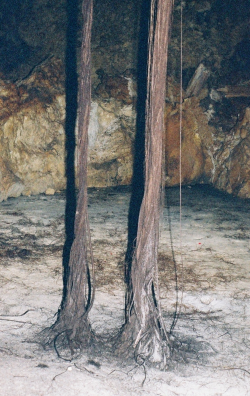 C030313.jpg